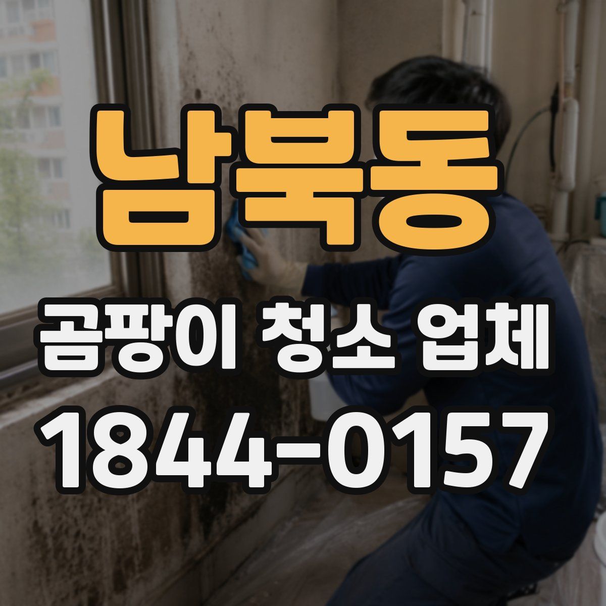 남북동 곰팡이 청소 업체