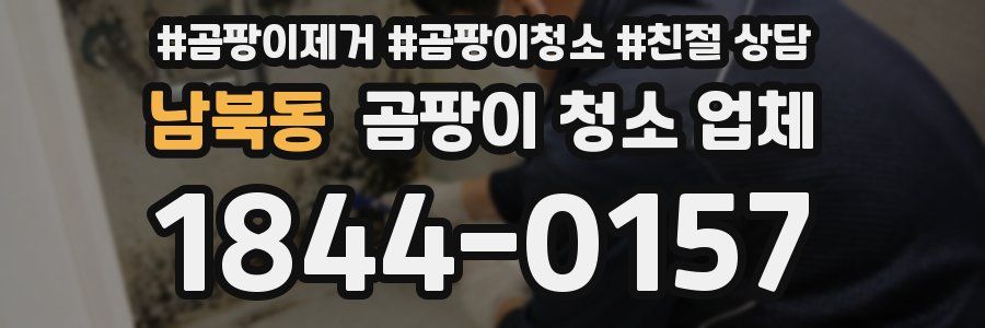 남북동 곰팡이 청소 업체