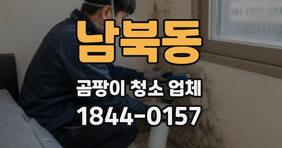 남북동 곰팡이 청소 업체