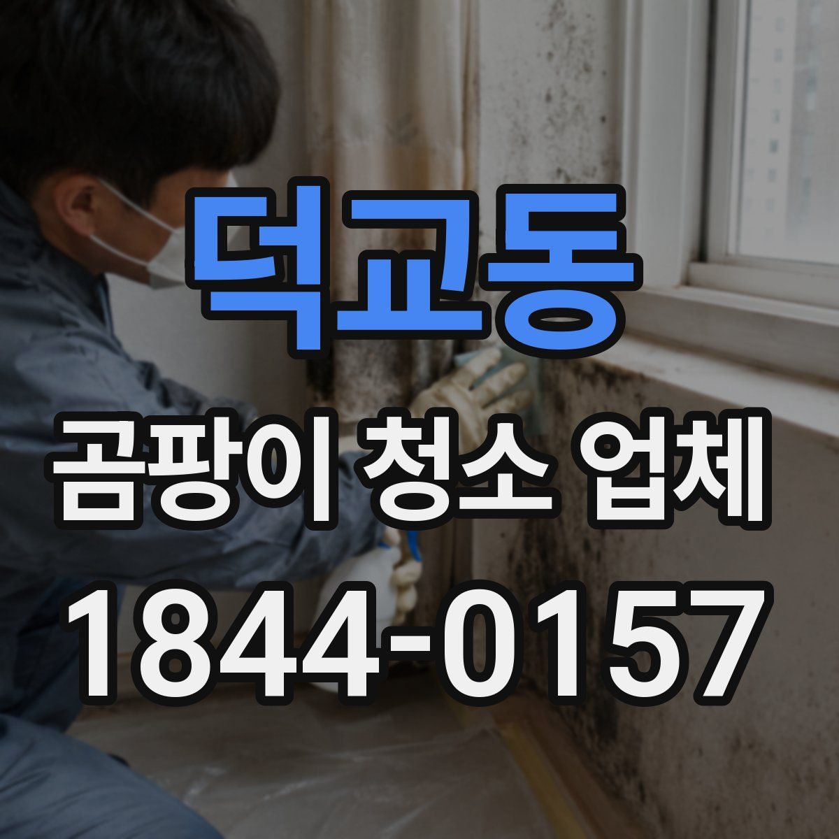덕교동 곰팡이 청소 업체