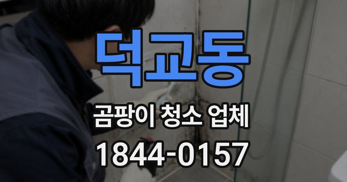 덕교동 곰팡이 청소 업체