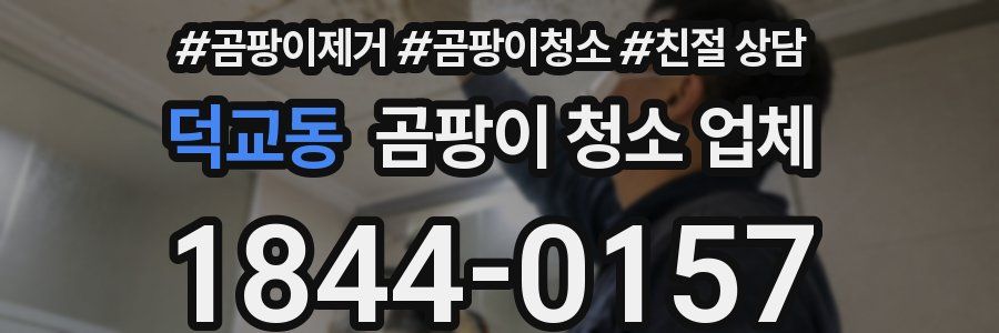 덕교동 곰팡이 청소 업체