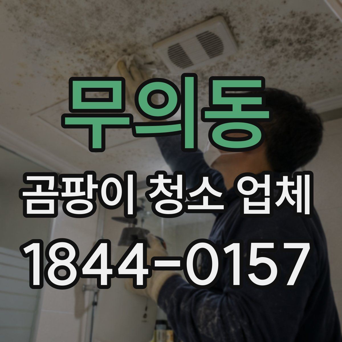 무의동 곰팡이 청소 업체 상담 때 물어볼 핵심 질문