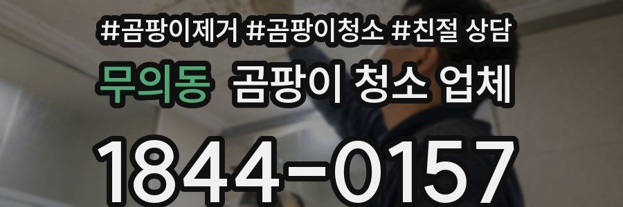 무의동 곰팡이 청소 업체