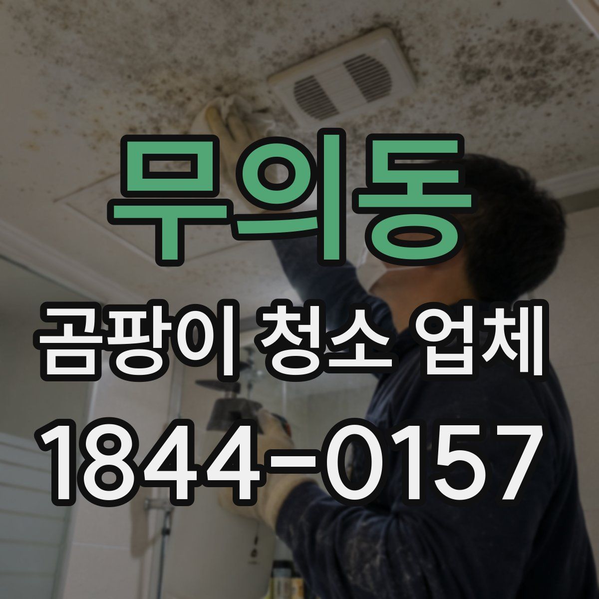 무의동 곰팡이 청소 업체