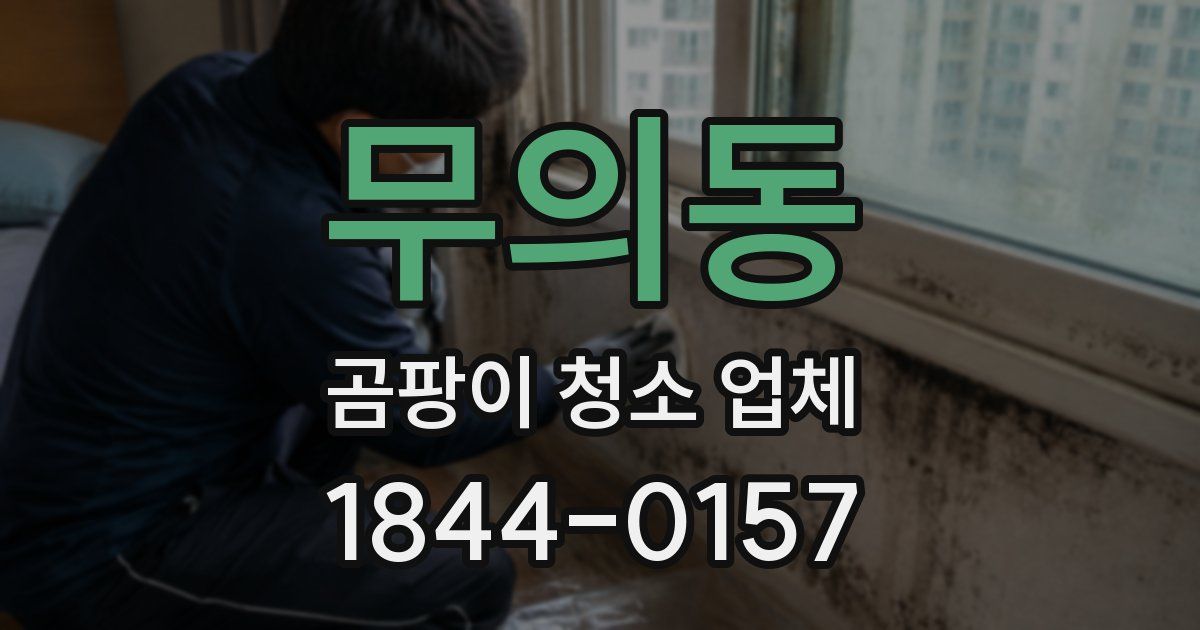 무의동 곰팡이 청소 업체