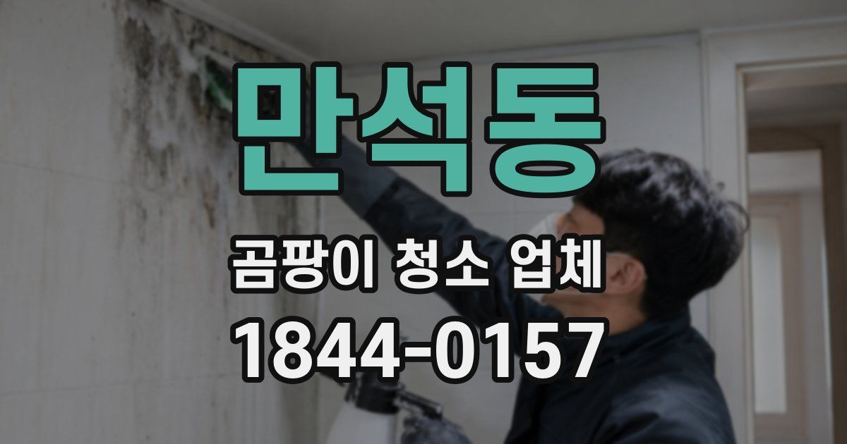 만석동 곰팡이 청소 업체