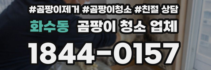 화수동 곰팡이 청소 업체