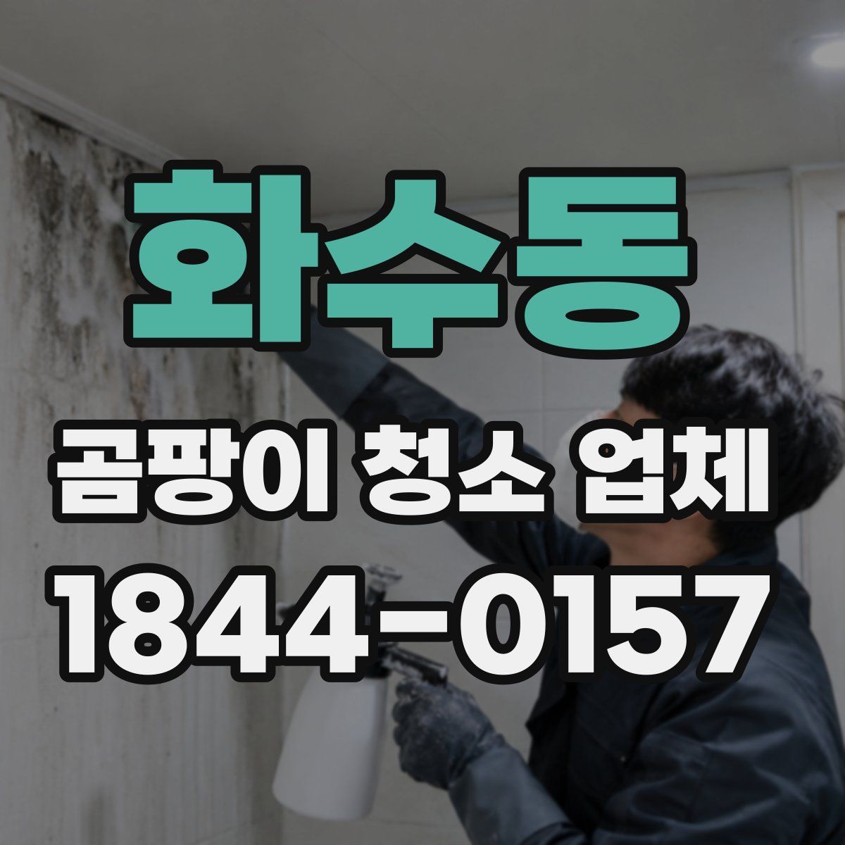 화수동 곰팡이 청소 업체