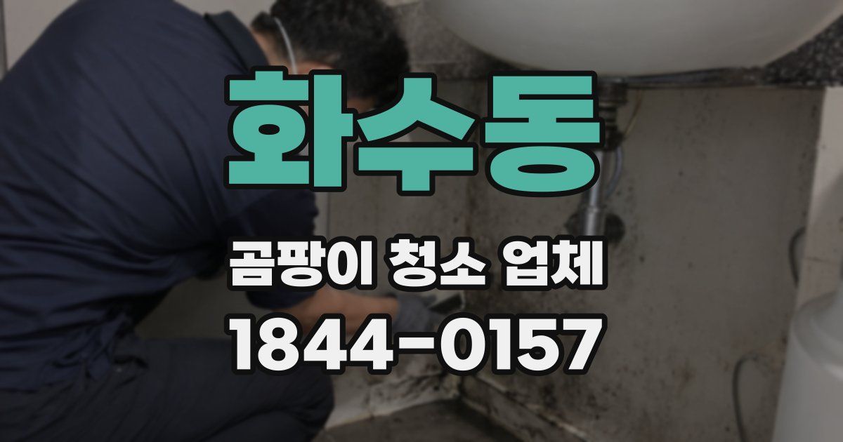 화수동 곰팡이 청소 업체
