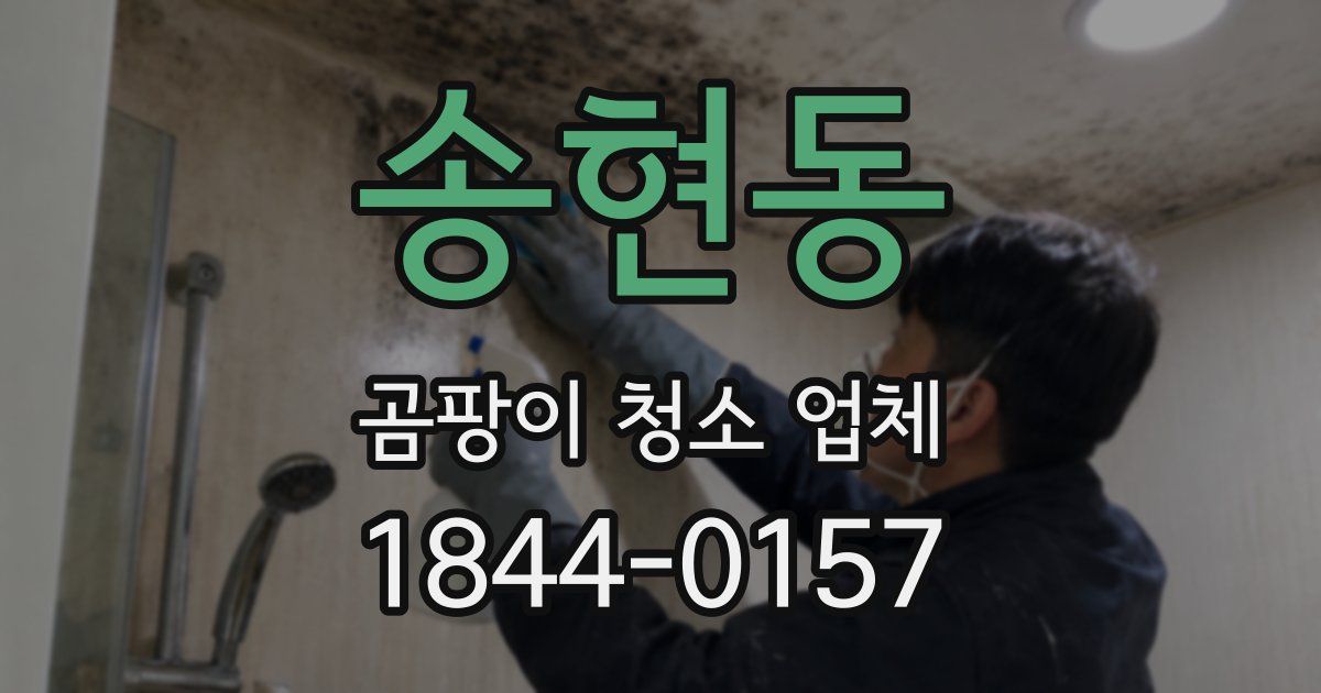 송현동 곰팡이 청소 업체