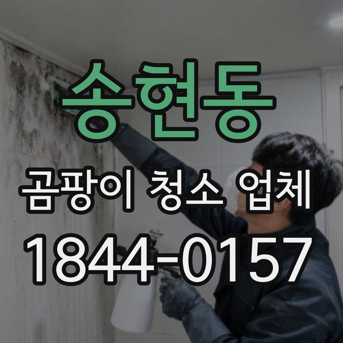 송현동 곰팡이 청소 업체