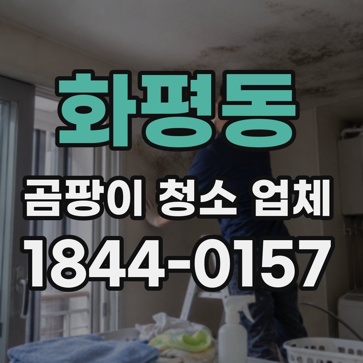 화평동 곰팡이 청소 업체 이용자들이 많이 묻는 질문