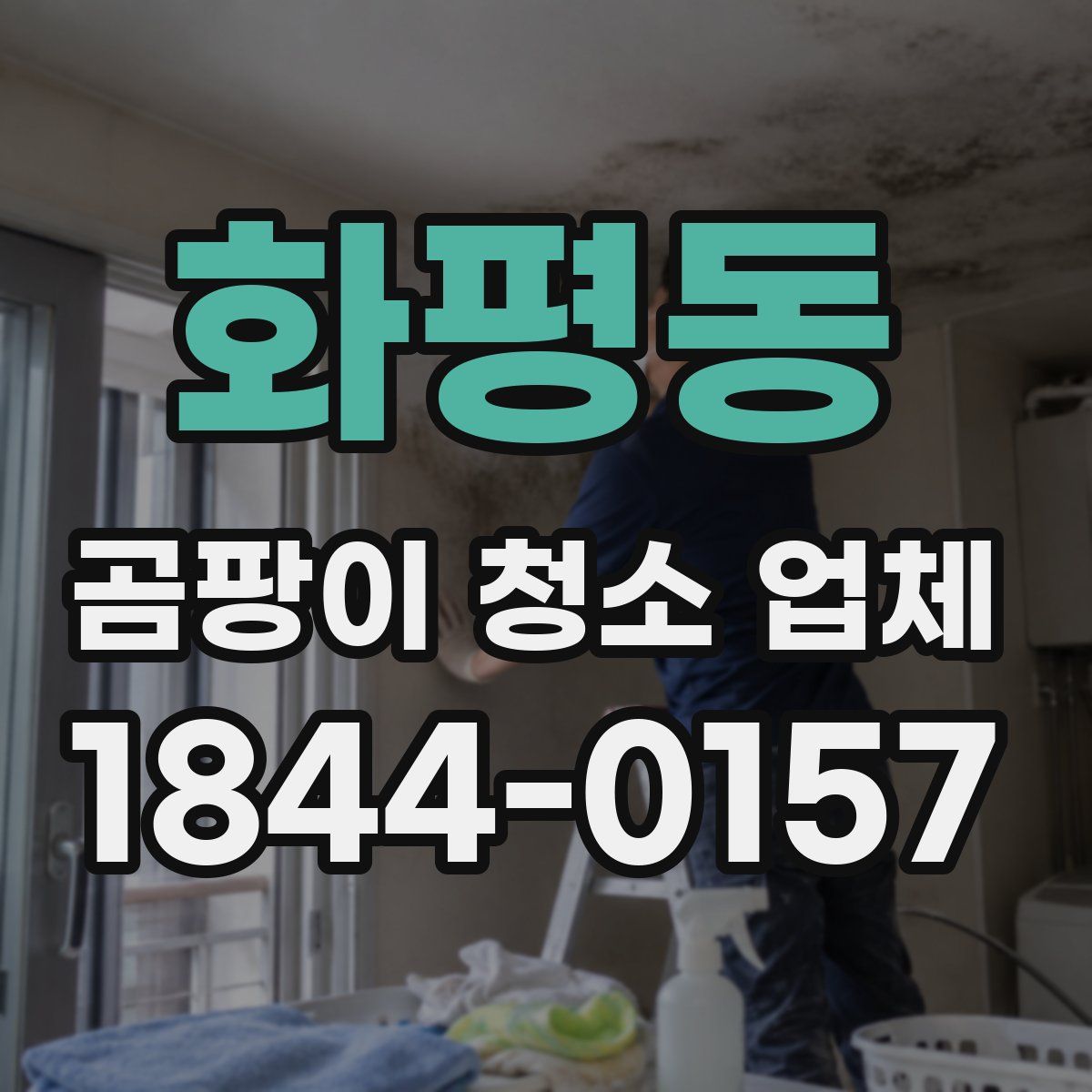 화평동 곰팡이 청소 업체