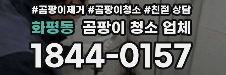 화평동 곰팡이 청소 업체