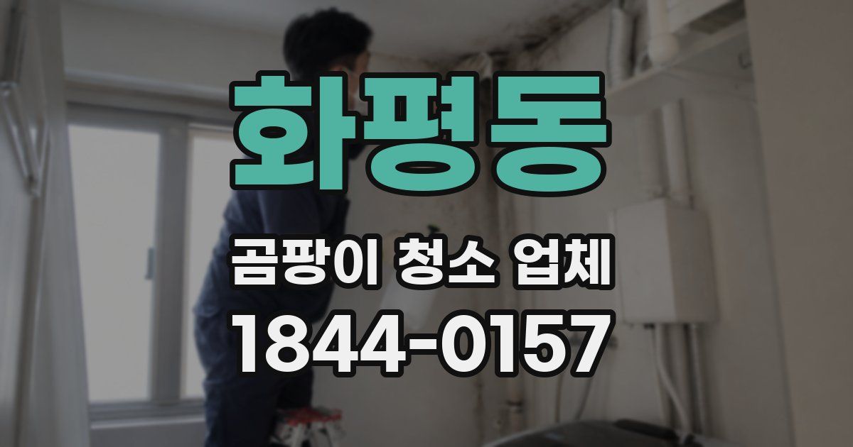화평동 곰팡이 청소 업체