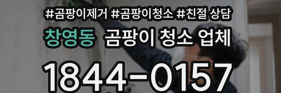 창영동 곰팡이 청소 업체