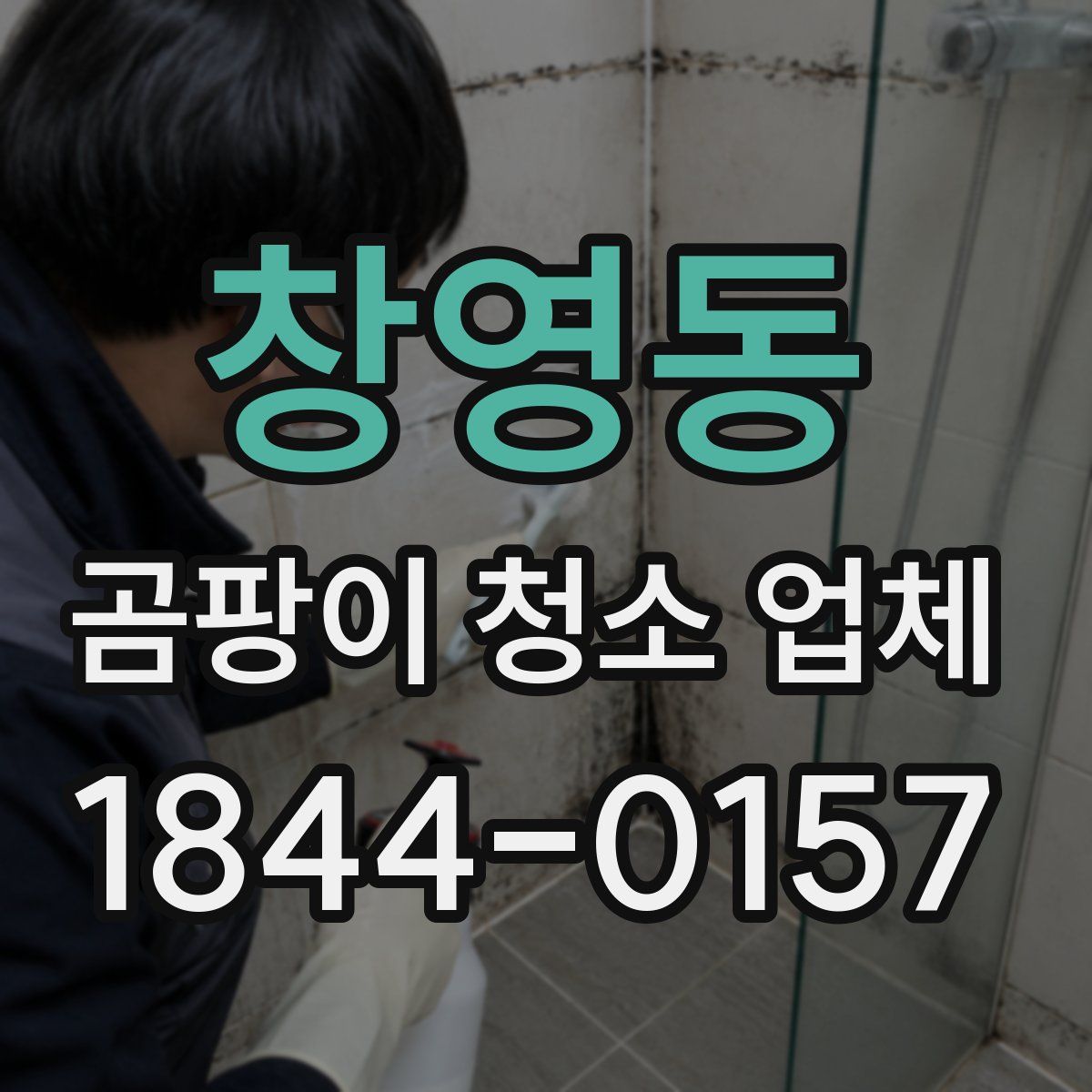 창영동 곰팡이 청소 업체