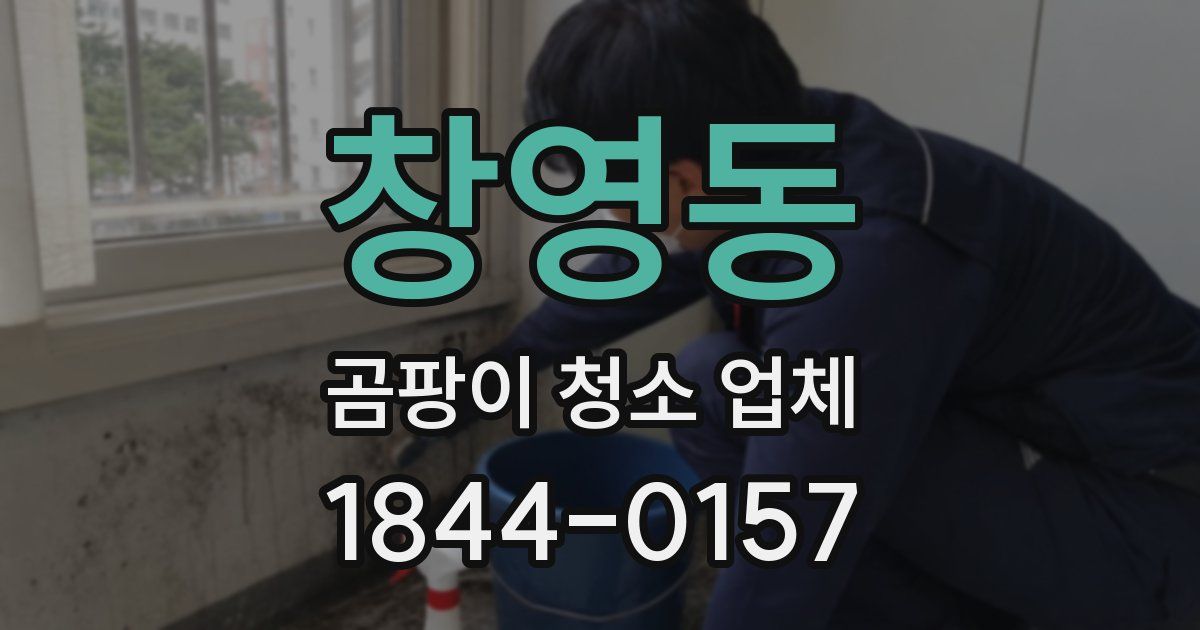 창영동 곰팡이 청소 업체