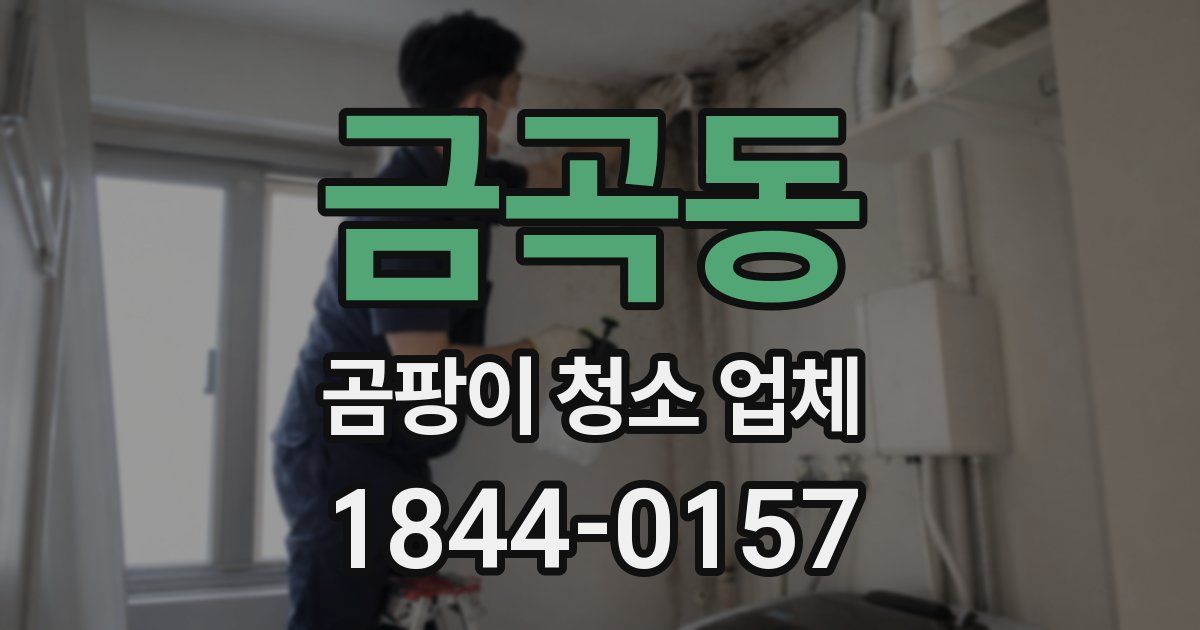 금곡동 곰팡이 청소 업체