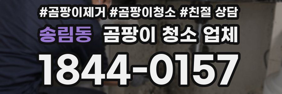 송림동 곰팡이 청소 업체
