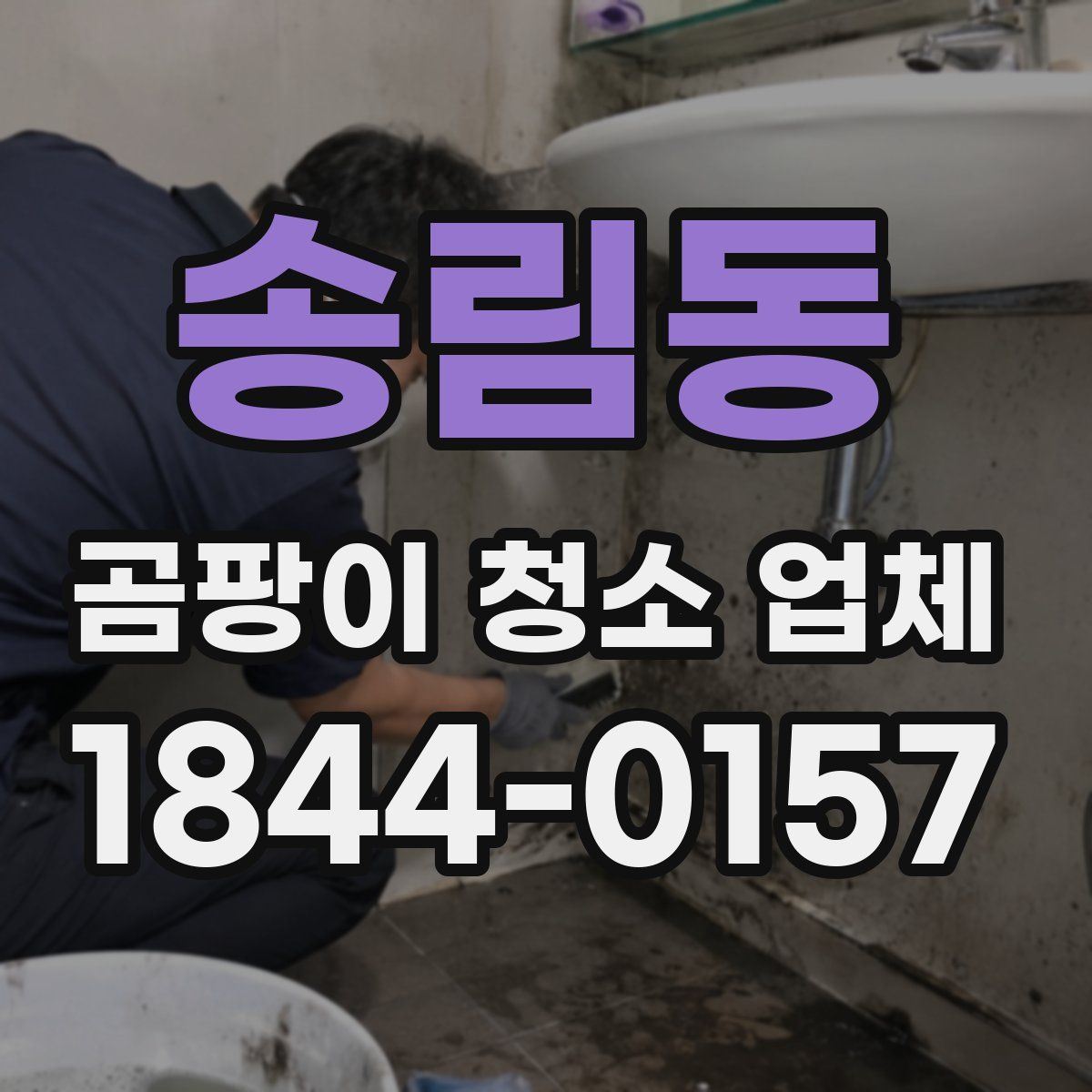 송림동 곰팡이 청소 업체