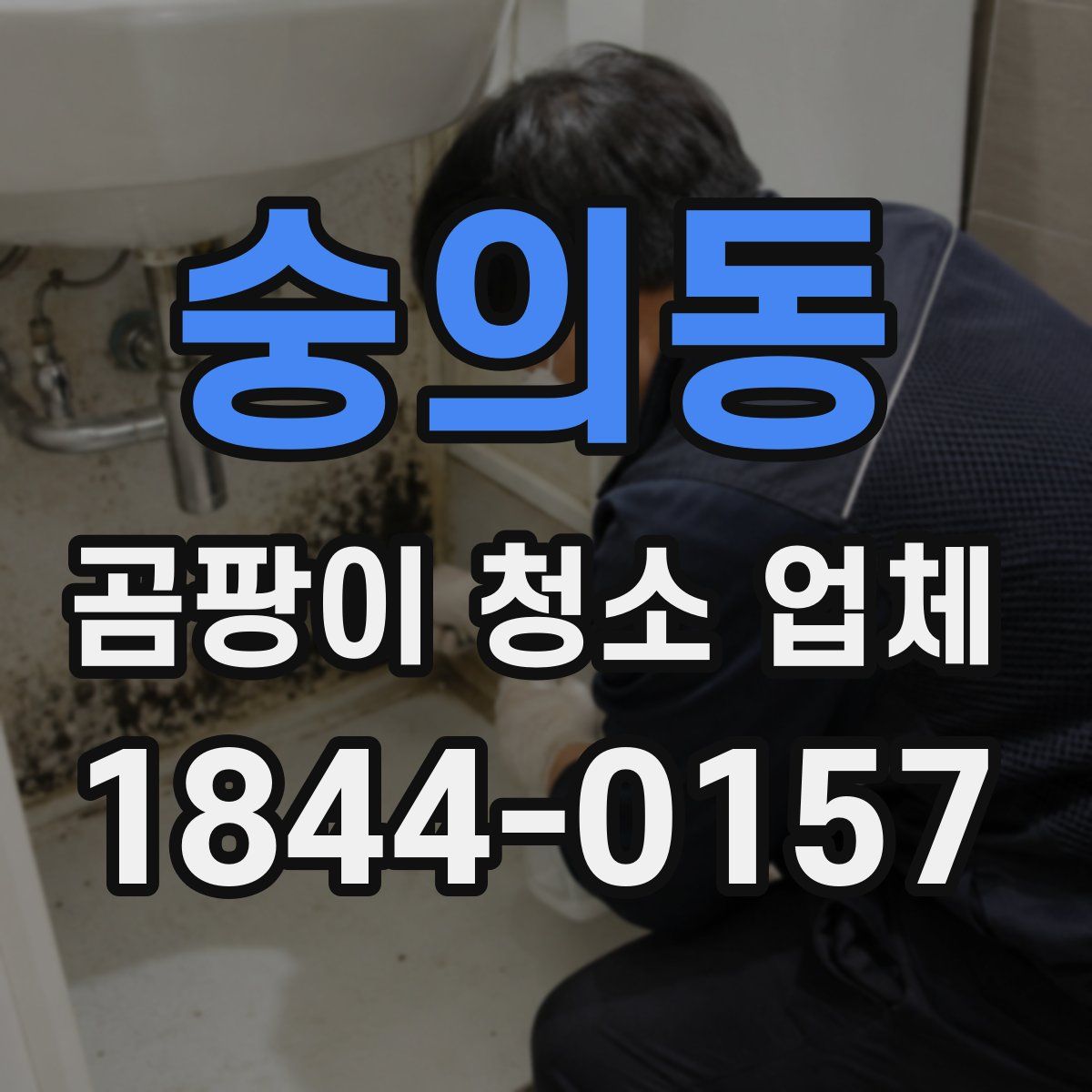 숭의동 곰팡이 청소 업체