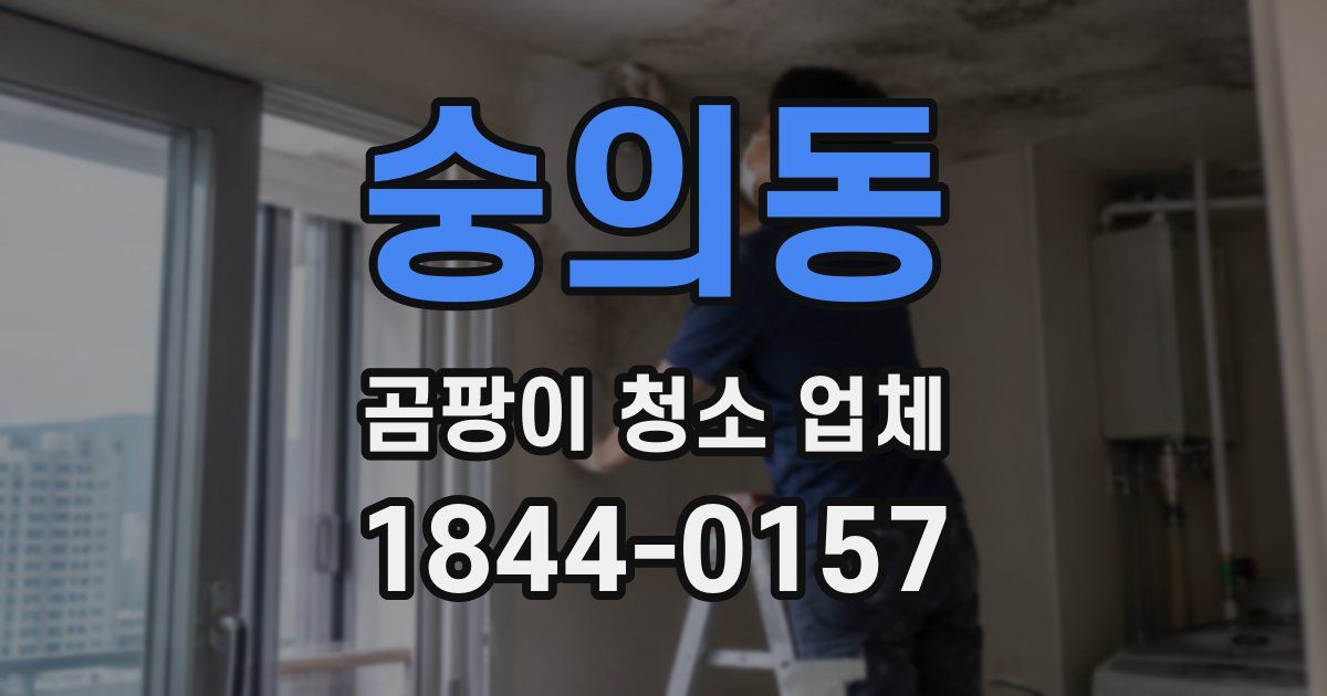 숭의동 곰팡이 청소 업체