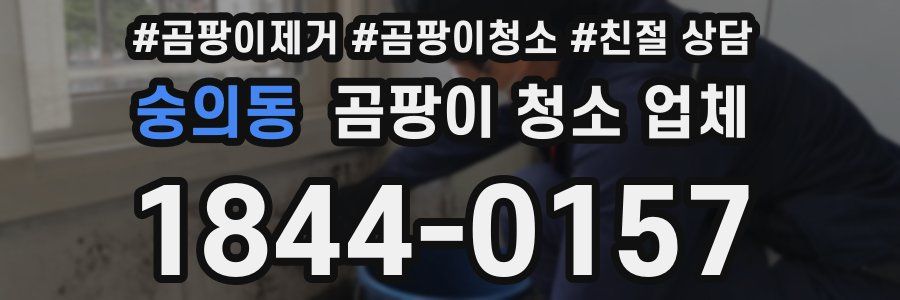 숭의동 곰팡이 청소 업체