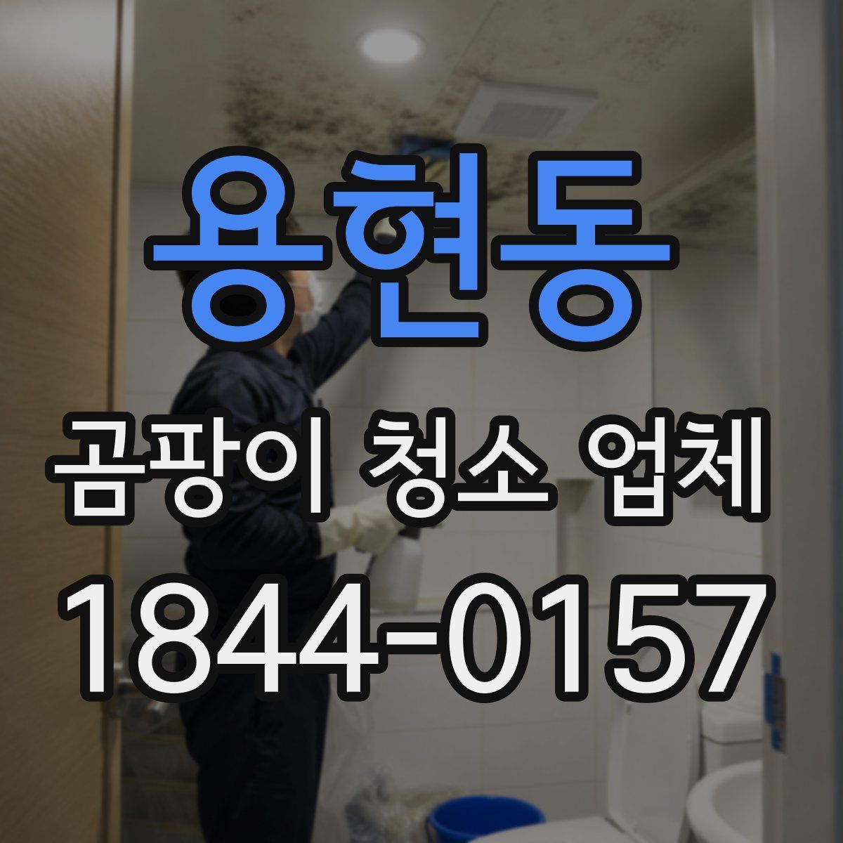 용현동 곰팡이 청소 업체