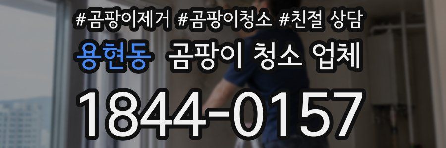 용현동 곰팡이 청소 업체