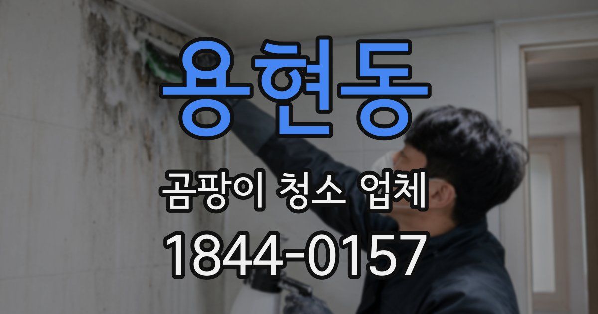용현동 곰팡이 청소 업체