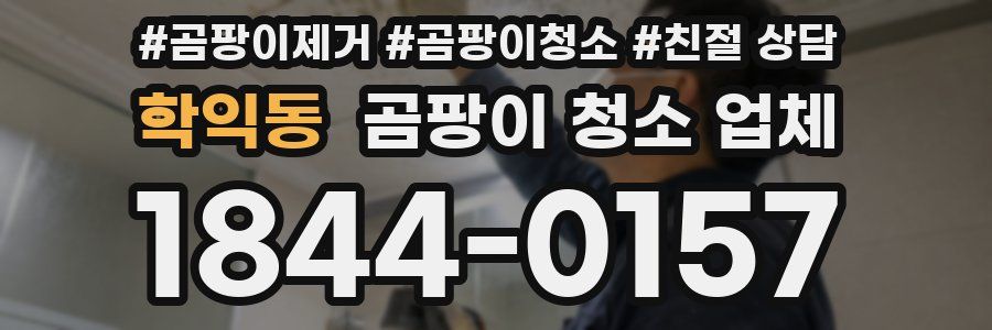 학익동 곰팡이 청소 업체