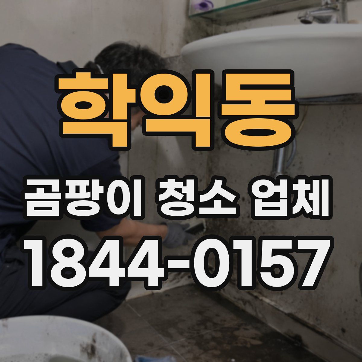 학익동 곰팡이 청소 업체