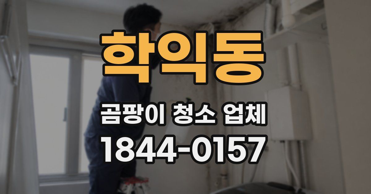 학익동 곰팡이 청소 업체