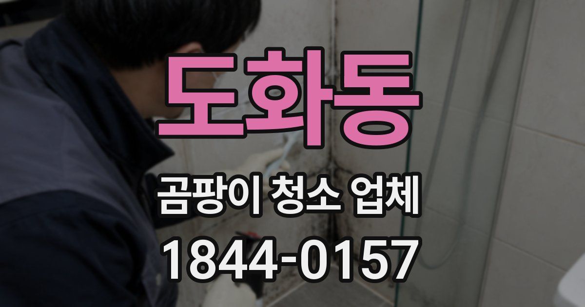 도화동 곰팡이 청소 업체