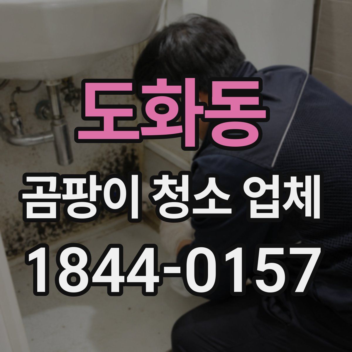 도화동 곰팡이 청소 업체