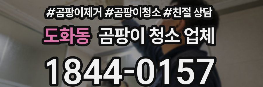 도화동 곰팡이 청소 업체