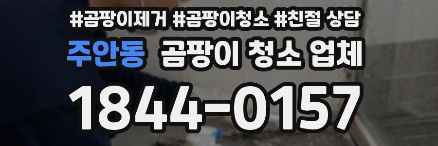 주안동 곰팡이 청소 업체