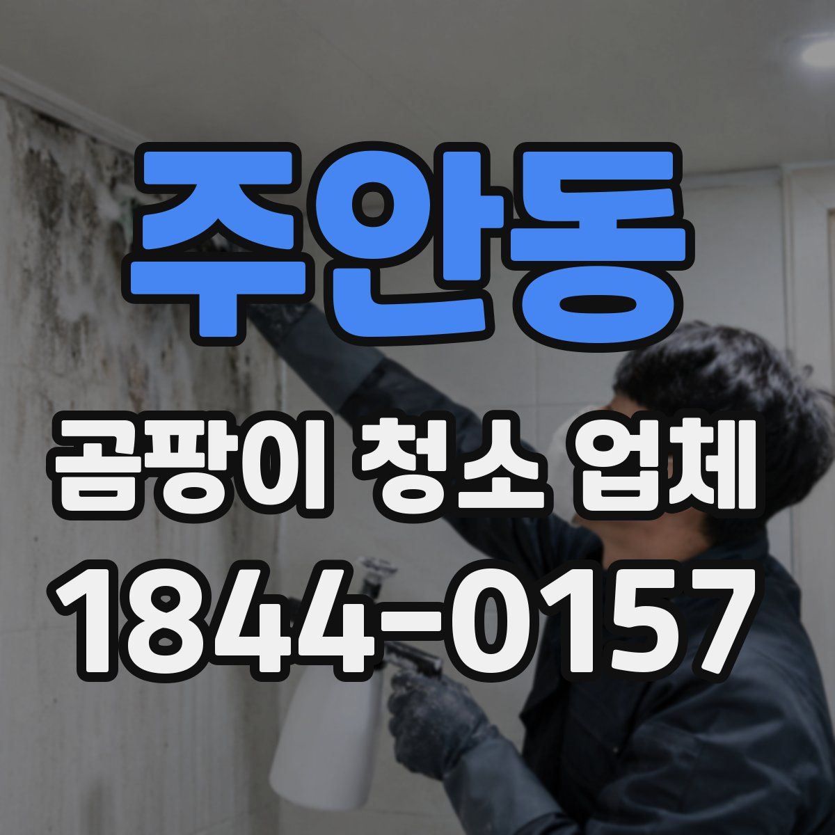 주안동 곰팡이 청소 업체