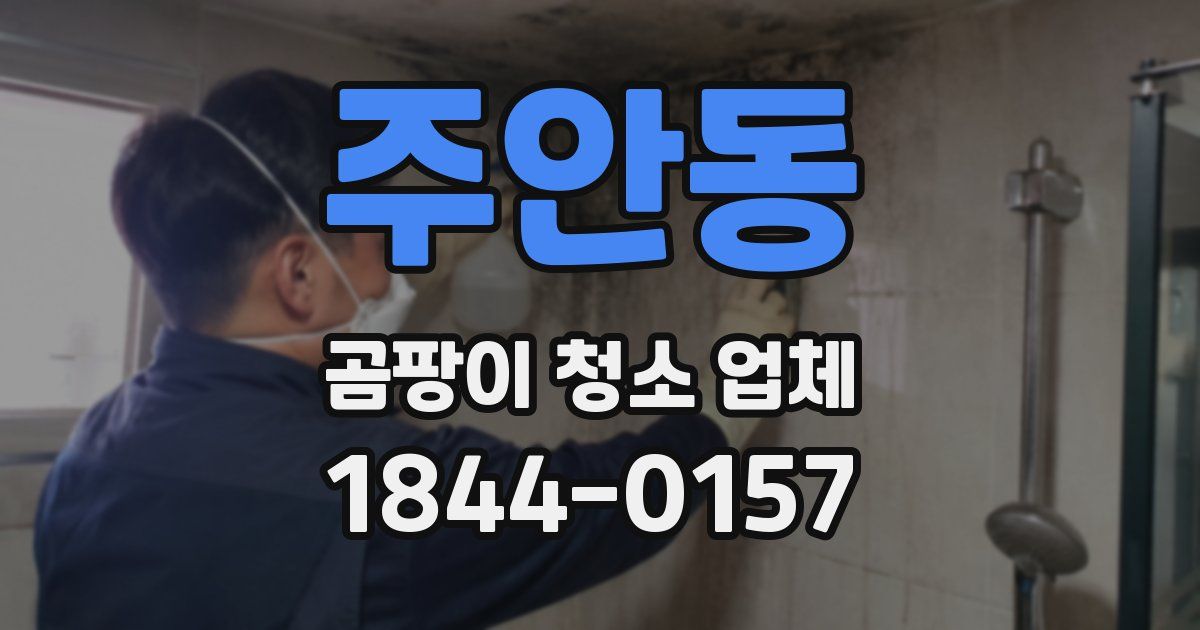 주안동 곰팡이 청소 업체