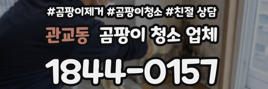 관교동 곰팡이 청소 업체