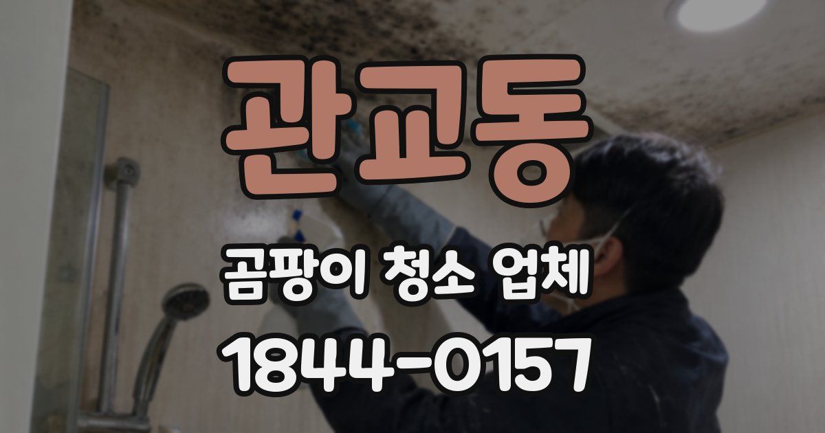관교동 곰팡이 청소 업체