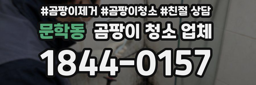 문학동 곰팡이 청소 업체
