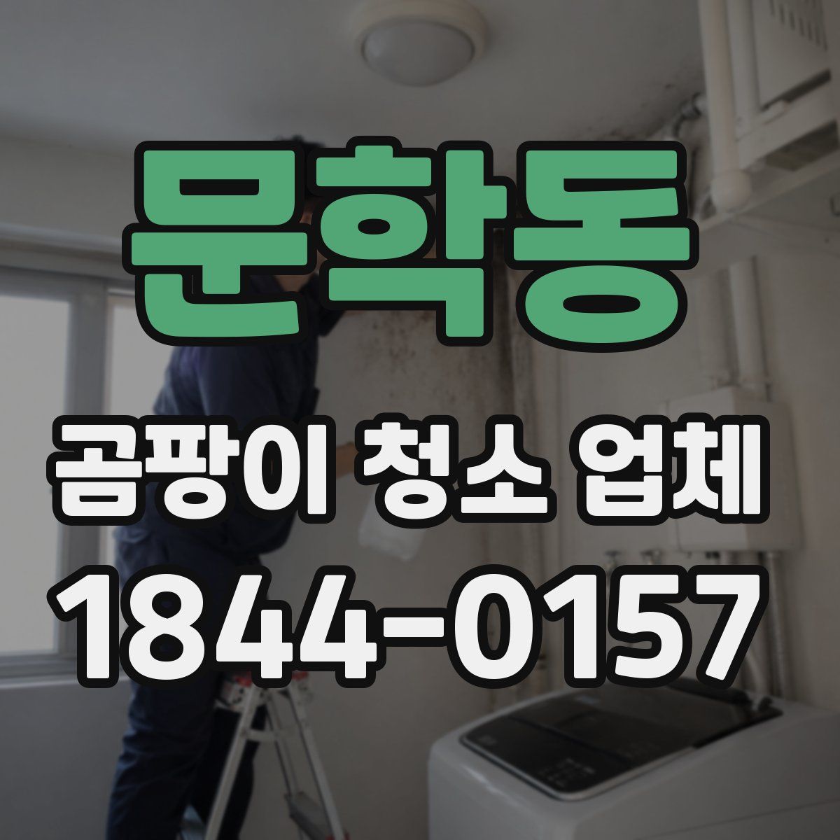 문학동 곰팡이 청소 업체
