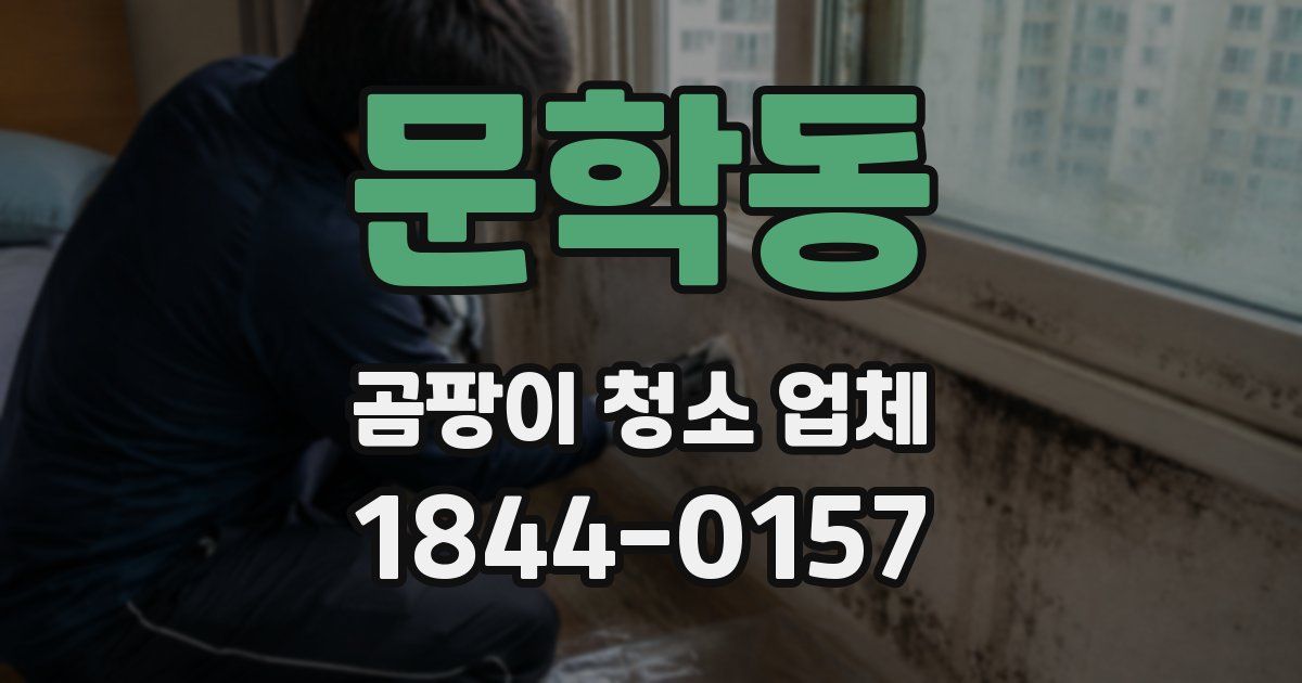 문학동 곰팡이 청소 업체