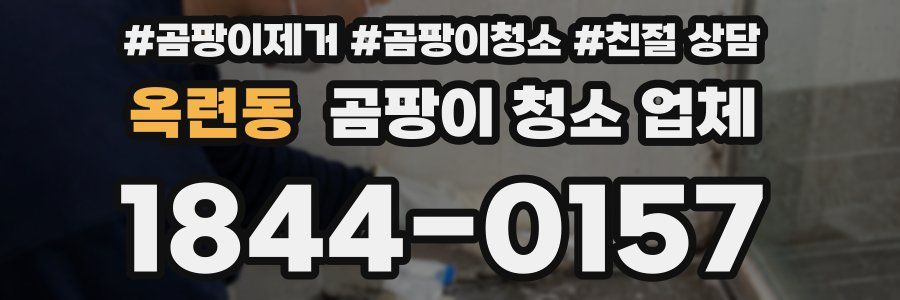 옥련동 곰팡이 청소 업체