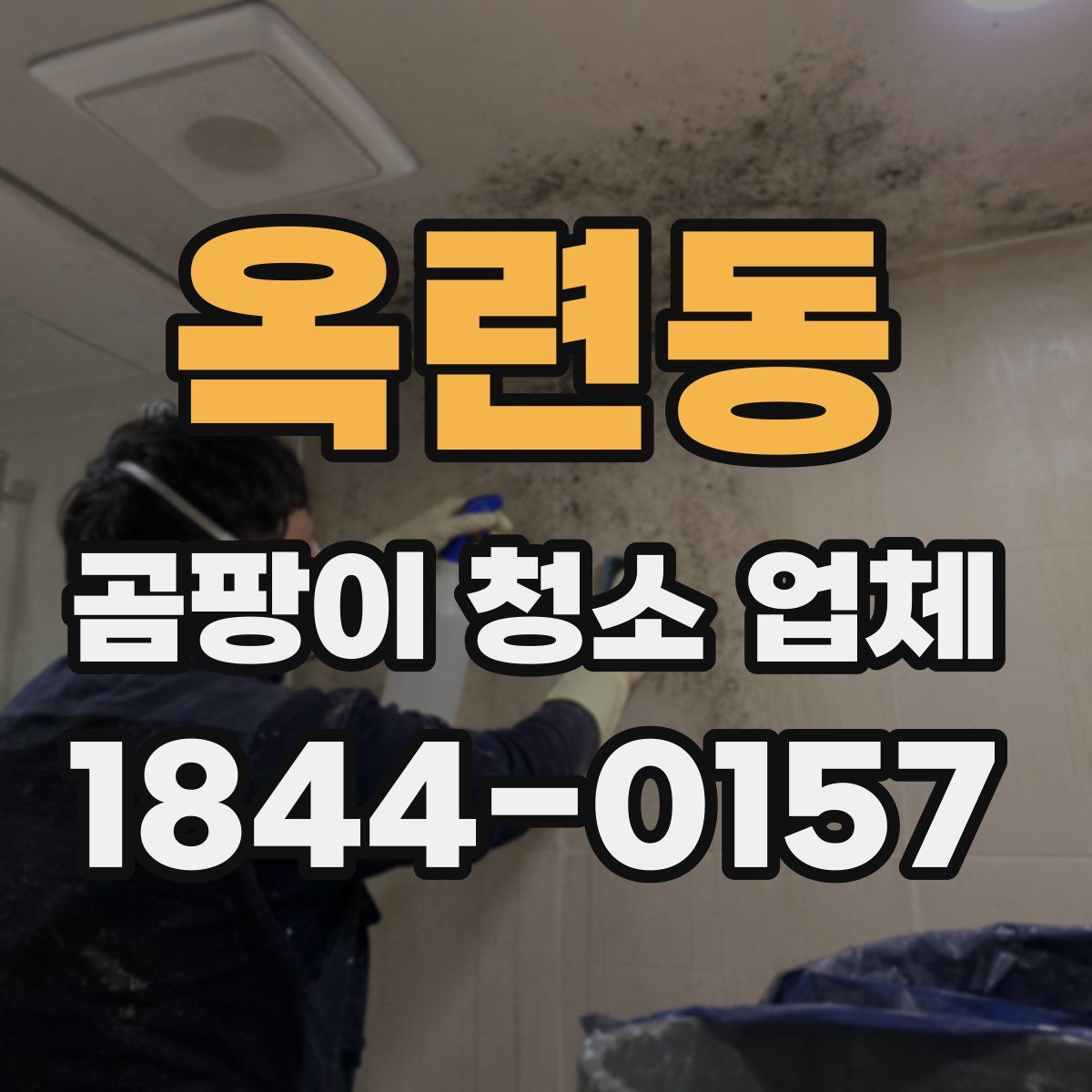 옥련동 곰팡이 청소 업체