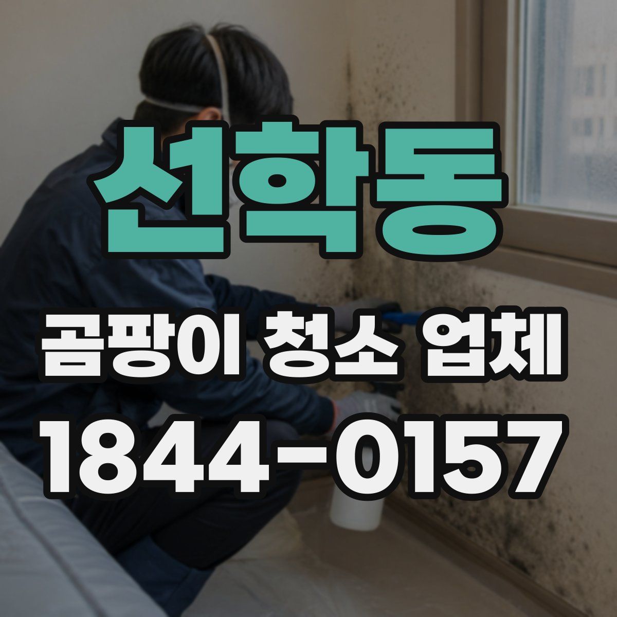 선학동 곰팡이 청소 업체