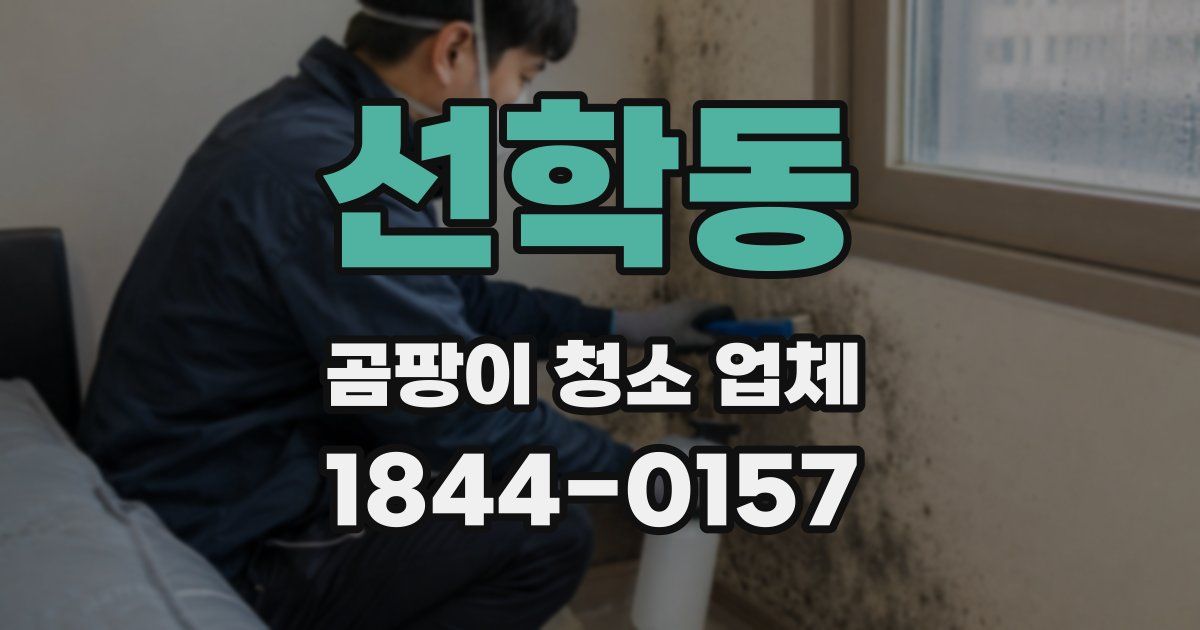 선학동 곰팡이 청소 업체